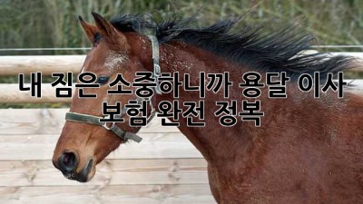 내 짐은 소중하니까! 용달 이사 보험 완전 정복 🛡️