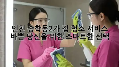 인천 송학동2가 집 청소 서비스: 바쁜 당신을 위한 스마트한 선택